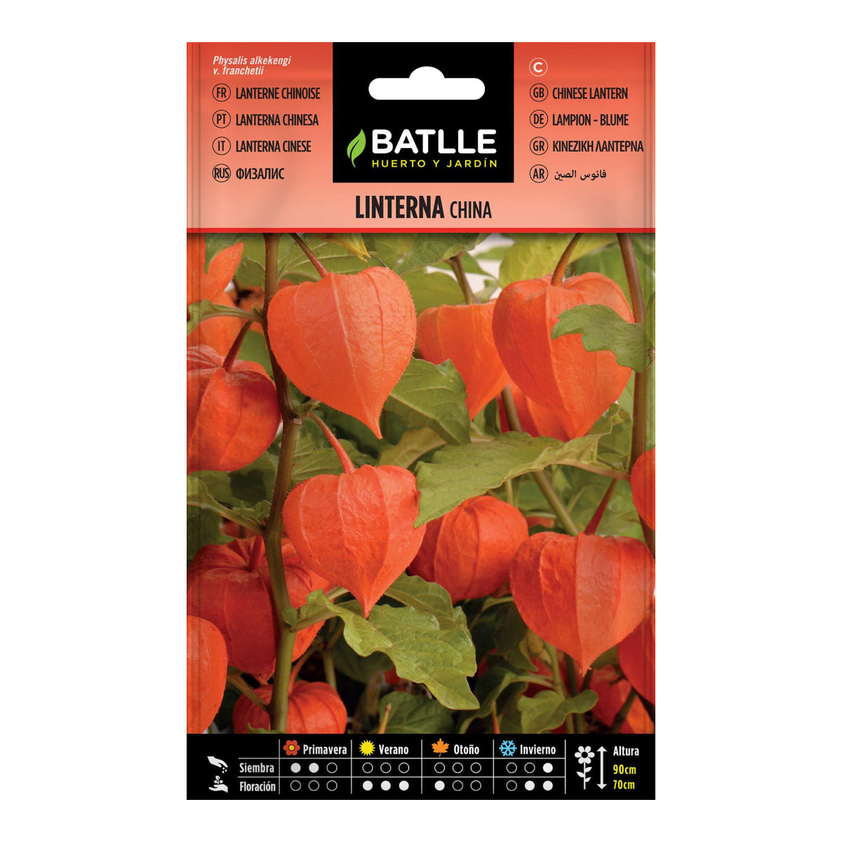 Semillas de Linterna china Batlle