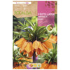 Bulbo Fritillaria Imperialis Aurora naranja 1 ud Rocalba