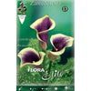 Bulbo Calla Picasso violeta 10 uds