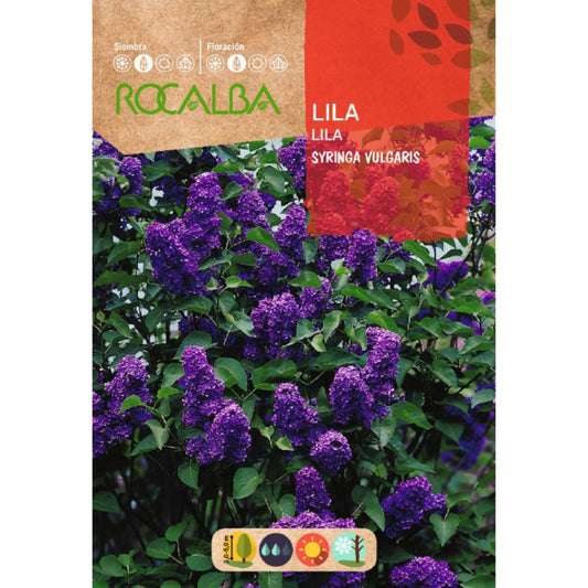Semillas de Lila Syringa vulgaris