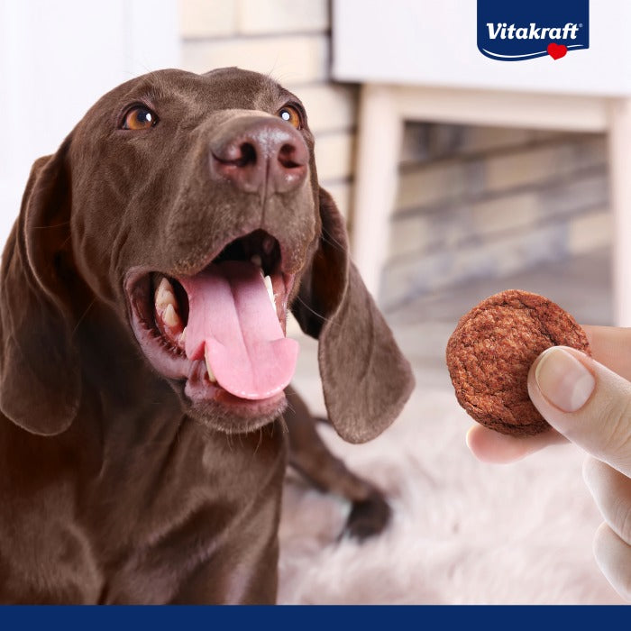 Vitakraft Beef Burguer 3 uds