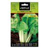 Semillas de Acelga amarilla de Lyon sel. Linda 25g