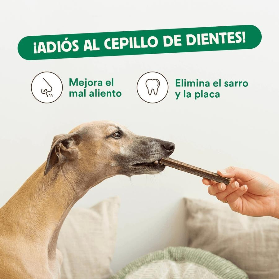 Pack Fuera Placa para mascotas Wild Balance