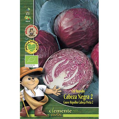 Semillas ecológicas Col lombarda cabeza negra 2
