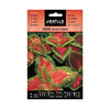 Semillas de Coleus arco iris variado Batlle