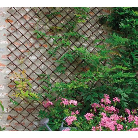 Celosía de mimbre extensible Trelliwillow Nortene 1x2 m