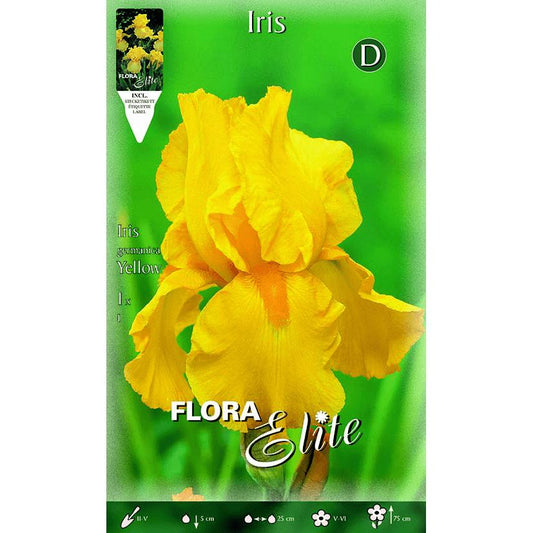 Bulbo Iris Germánica amarillo 1 ud