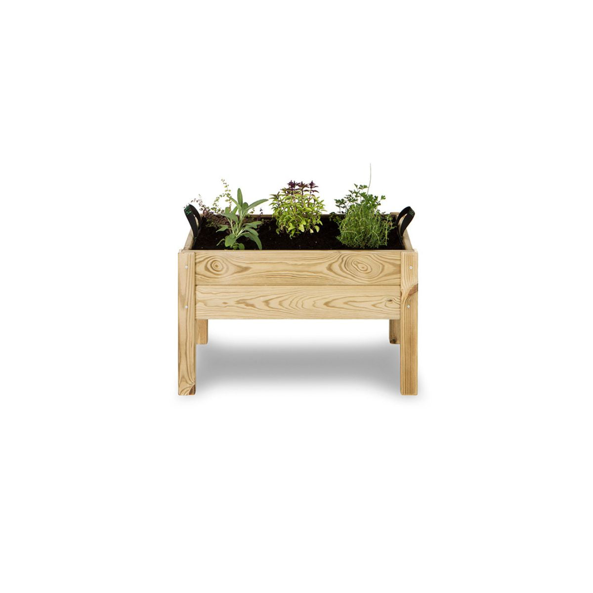 Kit de mesa de cultivo infantil Leo Hortalia