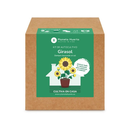 Kit de autocultivo Girasol Planeta Huerto