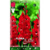 Bulbo Gladiolo rojo botón blanco 10 uds
