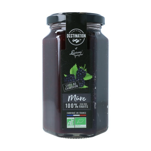 Mermelada de moras BIO Destination 300 g