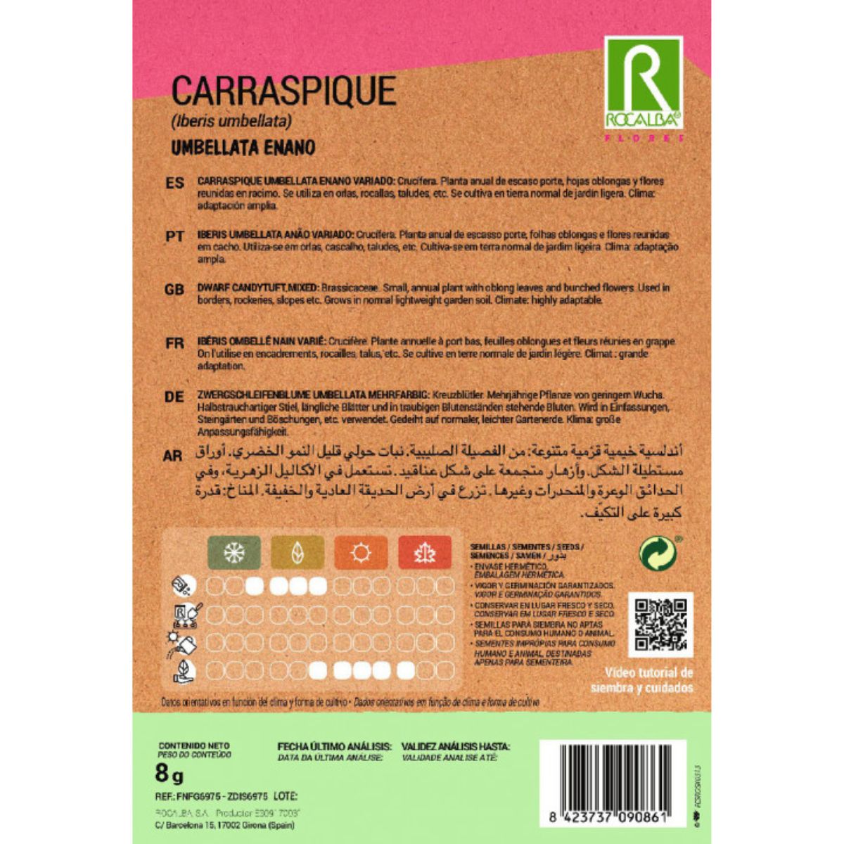 Semillas de Carraspique umbellata enano, variado