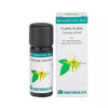 Bio Essential Oils Ylang-ylang Aceite Esencial 10 ml. Equisalud