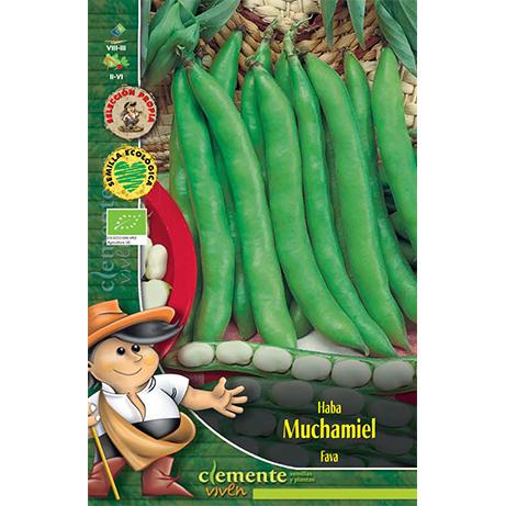 Semillas ecológicas de Habas Muchamiel