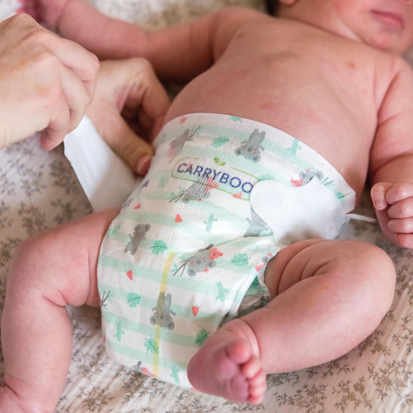 Pañales Carryboo Nature Pañales naturales y coles, talla 2 (3-6kg)