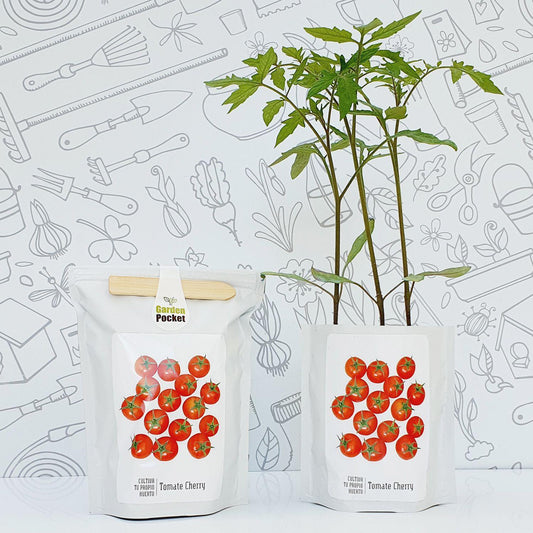 Kit huerto pocket: Tomate cherry
