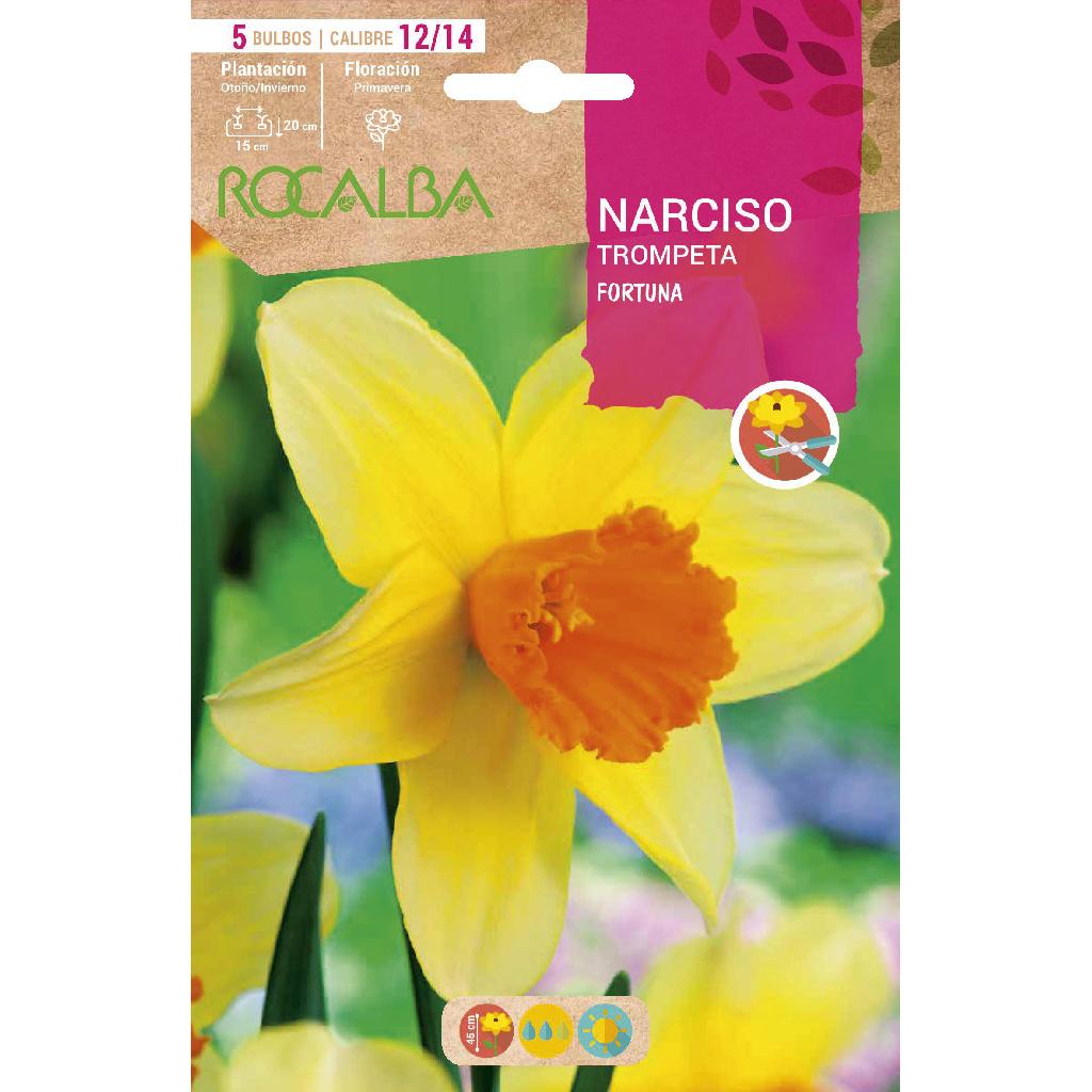 Bulbo Narciso trompeta Fortuna amarillo naranja 5 uds Rocalba