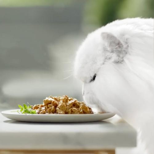 GOURMET PERLE Delicias en Salsa Pollo Buey (4x85g)