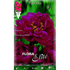 Bulbo Peonia roja