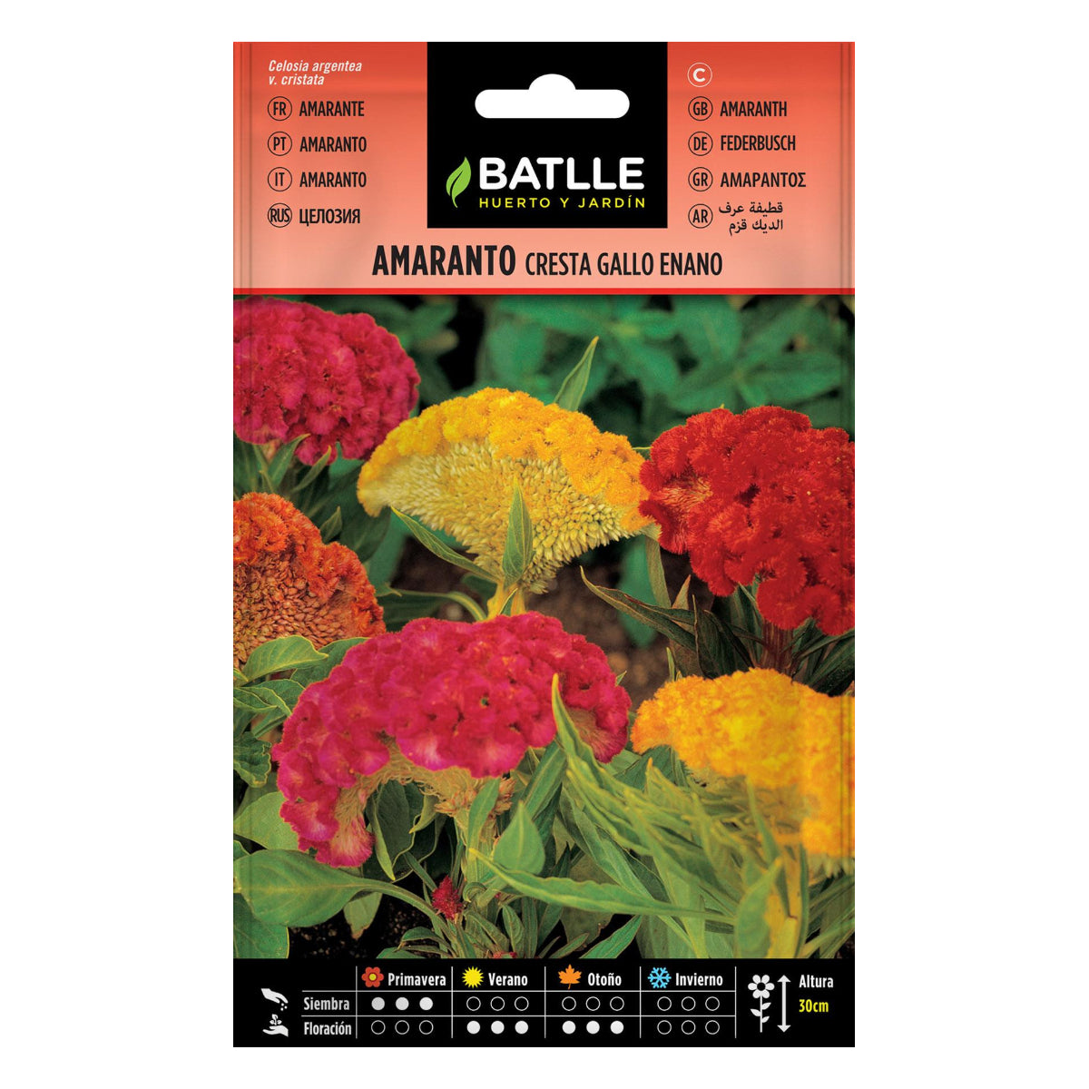 Semillas de Amaranto cresta gallo enano Batlle