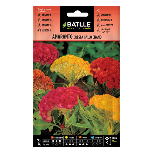 Semillas de Amaranto cresta gallo enano Batlle
