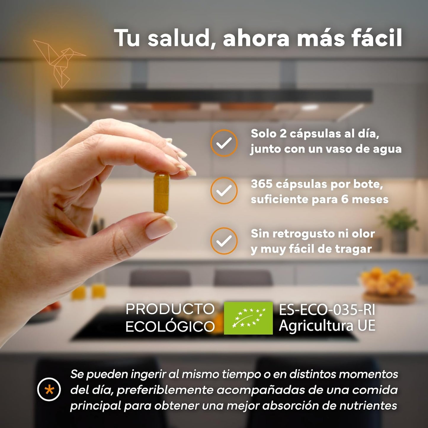 Cúrcuma + Jengibre Sevens Nutrition 365 cápsulas