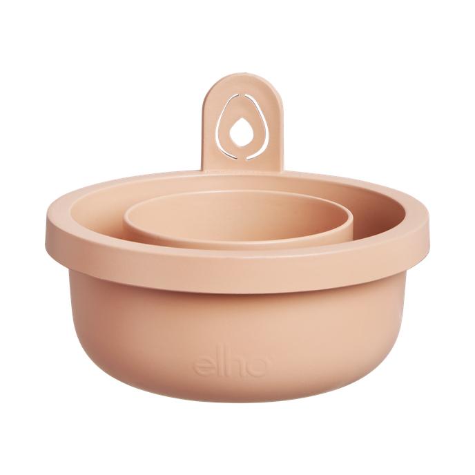 Maceta germinadora de aguacates Amazing Avocado Elho Terra