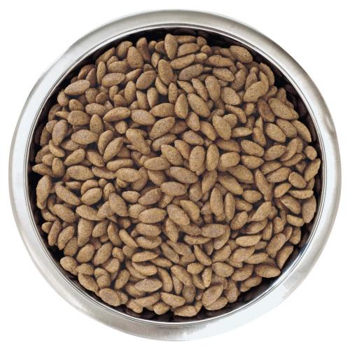 PRO PLAN Mediano OPTIDERMA Salmón 14 kg