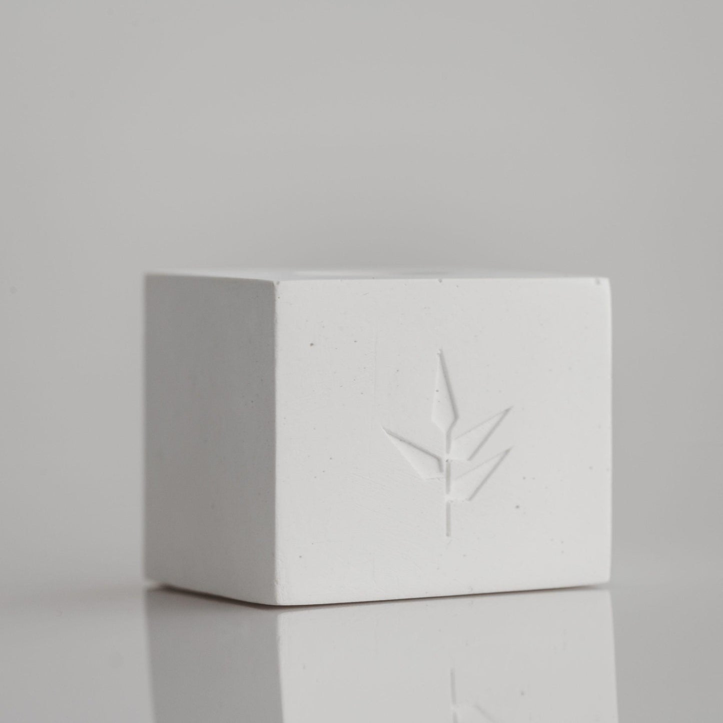 Stand para cepillo de dientes Banbu