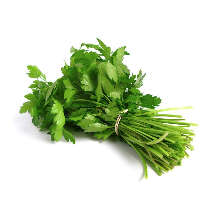 Plantón de Cilantro 6 uds. Gama Tradicional