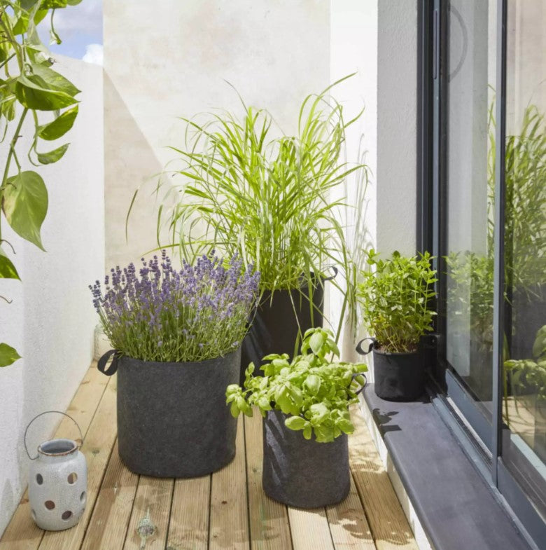 Bag4Plant Bolsa de plantación de fieltro geotextil ø35cm 33,7 L