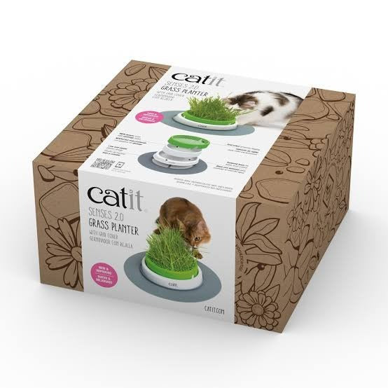 Germinador con hierba gatera Senses 2.0 Catit