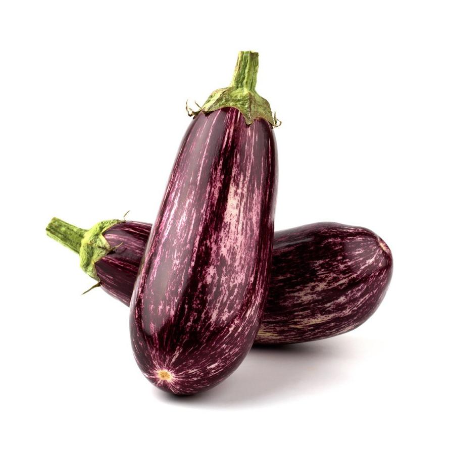 Plantón de Berenjena Listada 6 uds. Gama Tradicional