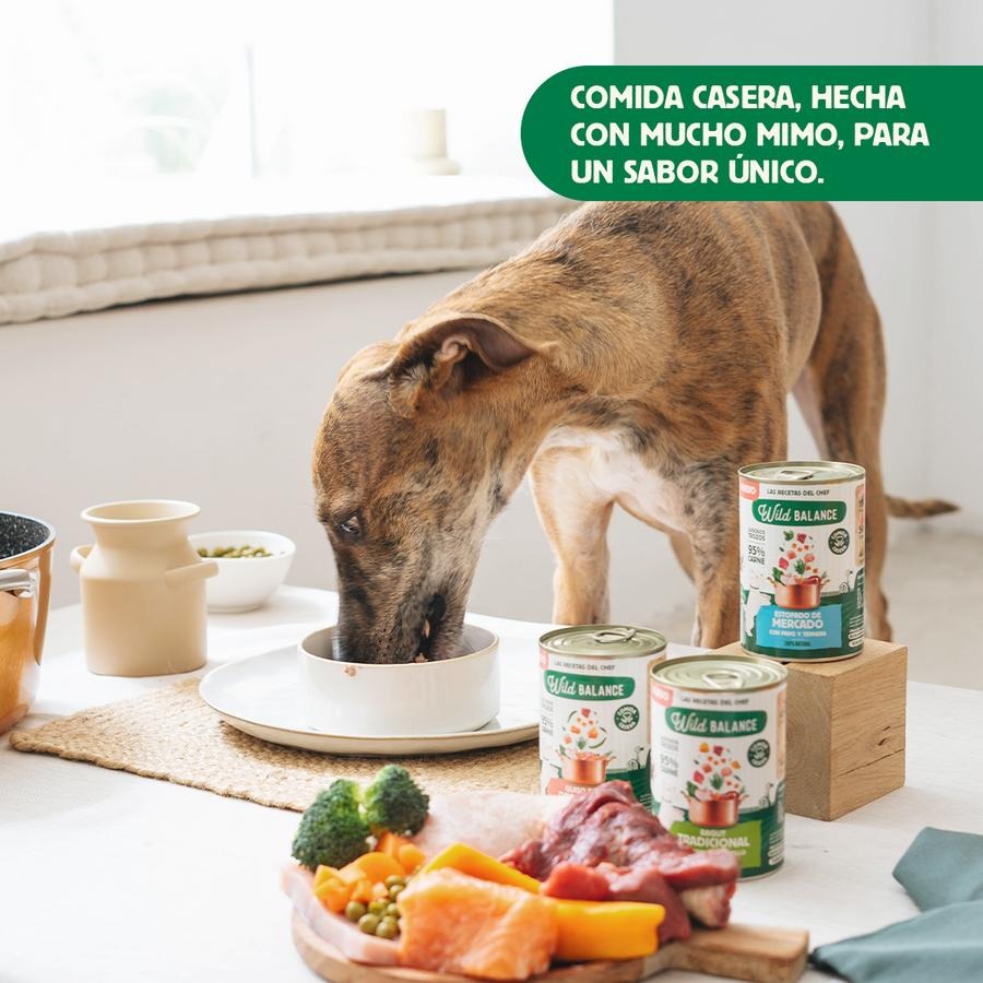 Pack 6X Ragut tradicional de ternera y pollo para perros Wild Balance 400 gr