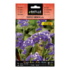 Semillas de Statice sinuata azul Batlle