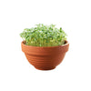 Maceta para brotes Eurogarden