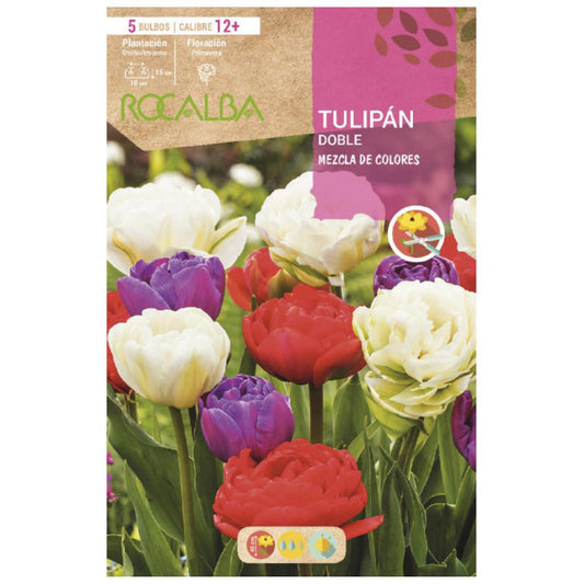 Bulbo Tulipán doble mezcla 5 uds Rocalba