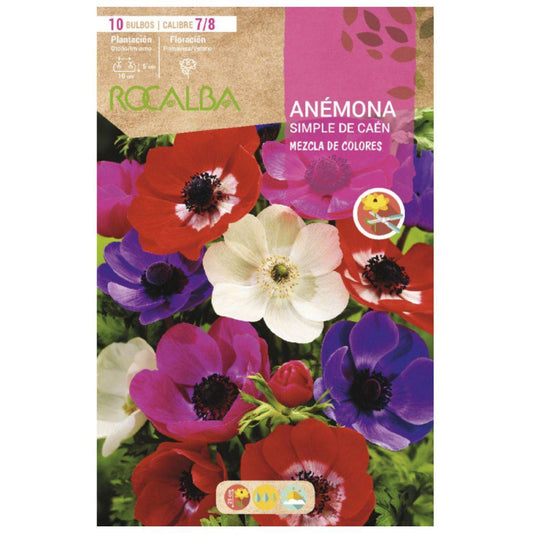 Bulbo Anémona Caén mezcla 10 uds Rocalba