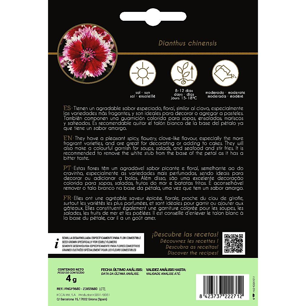 Semillas de flores comestibles de Clavel Chino Rocalba