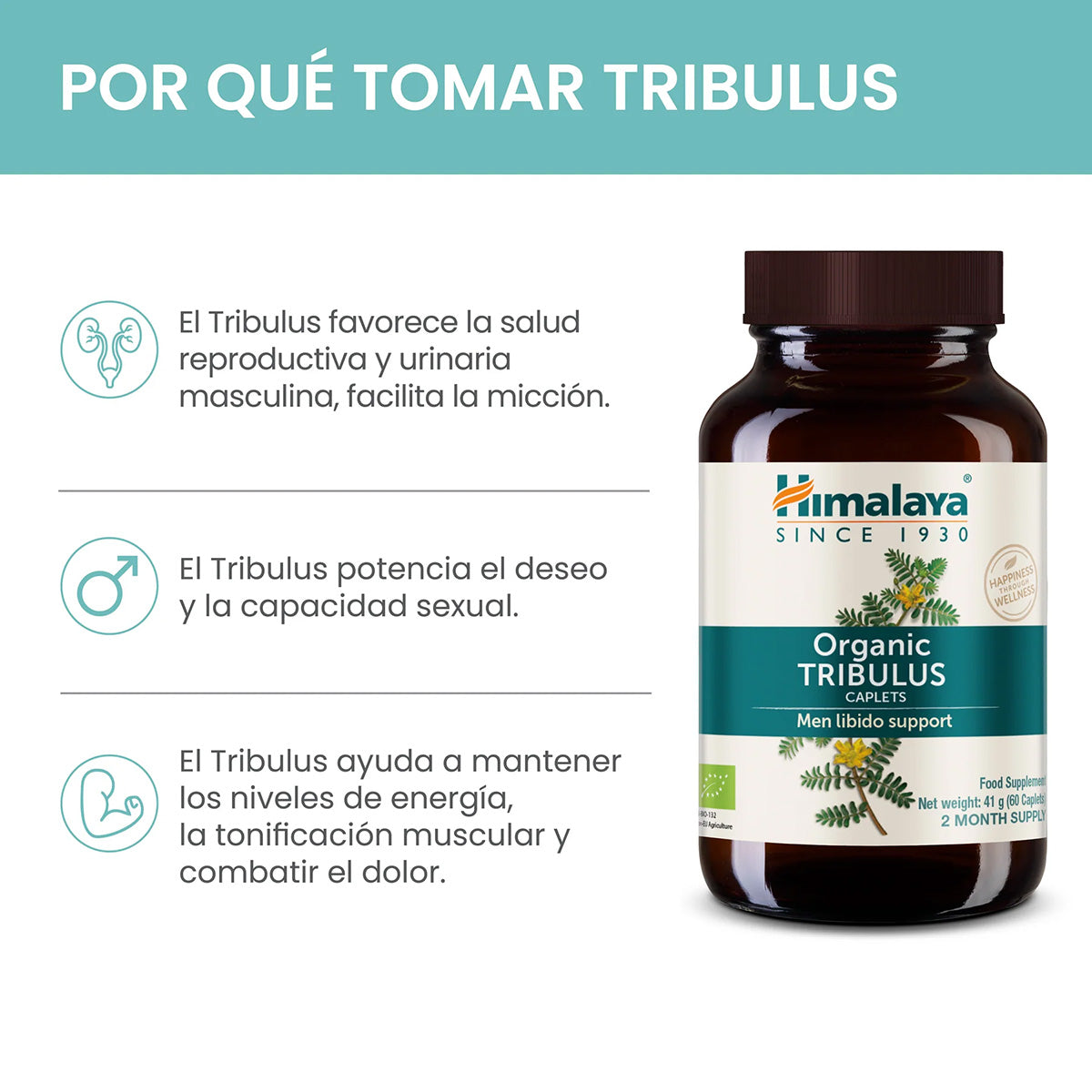 Triphala Organic, Himalaya, 60 cápsulas