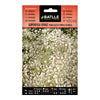 Semillas de Gipsofila vivaz Paniculata simple blanca Batlle