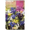 Bulbo Iris de Holanda mezcla 10 uds Rocalba