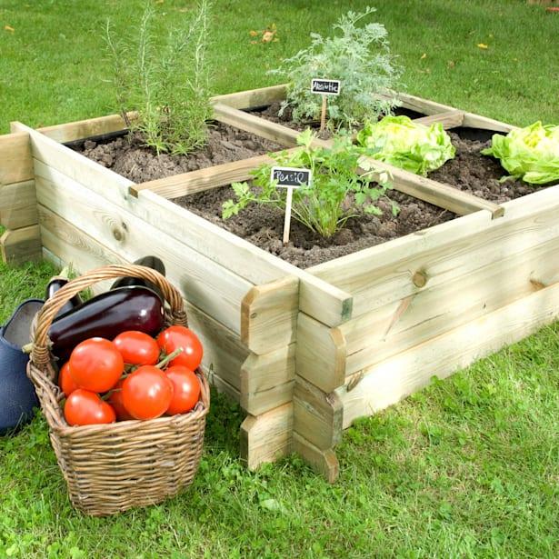 Huerto Cuadrado Basil 100