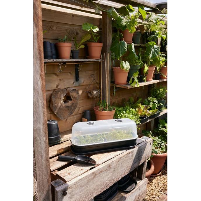 Mini invernadero de cultivo con semilleros y cubierta Green basics Elho L
