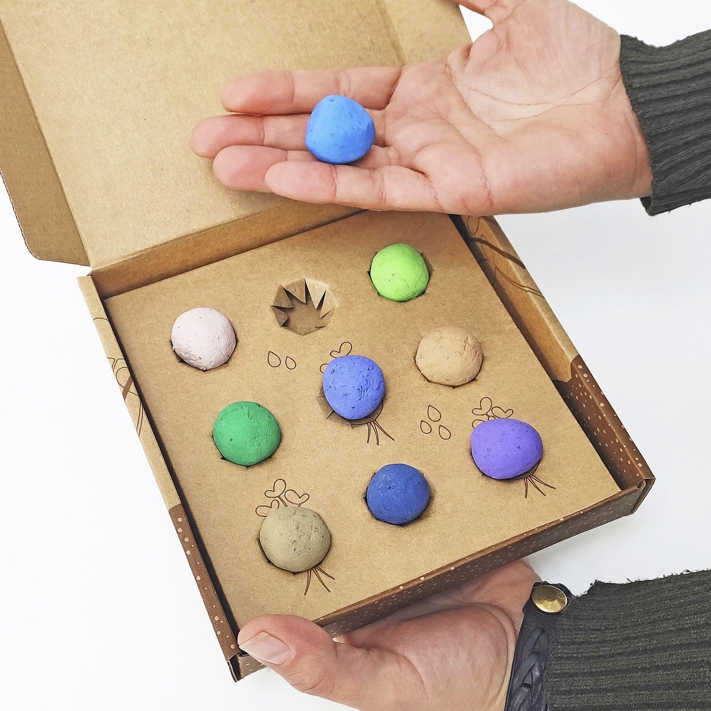 Bombas de semillas Flores Silvestres