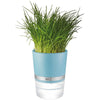 Macetero para hierbas BOTANICO Gefu Azul celeste