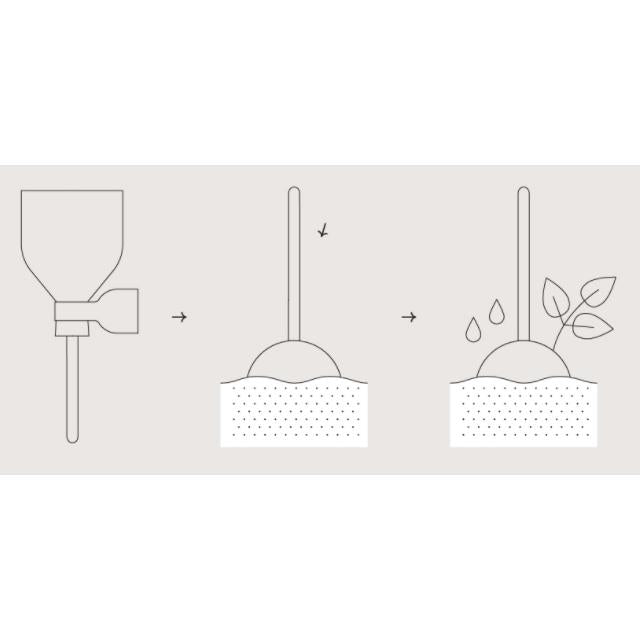 Postres Garden Lollipop semillas