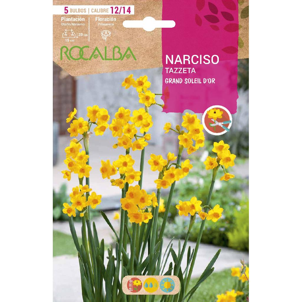 Bulbo Narciso Tazzeta Grand Soleil D'Or amarillo 5uds Rocalba