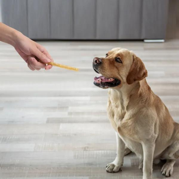 Twister sticks de cuero de ternera - Snack Natural Nobleza 20 ud