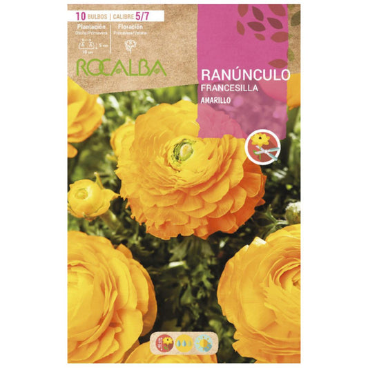 Bulbo Ranúnculo amarillo 10 uds Rocalba